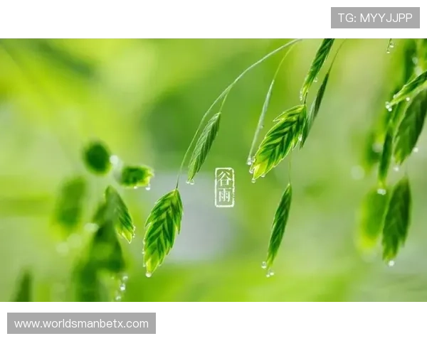 万博maxbextx登陆：详细步骤指导帮助用户顺利完成登录操作